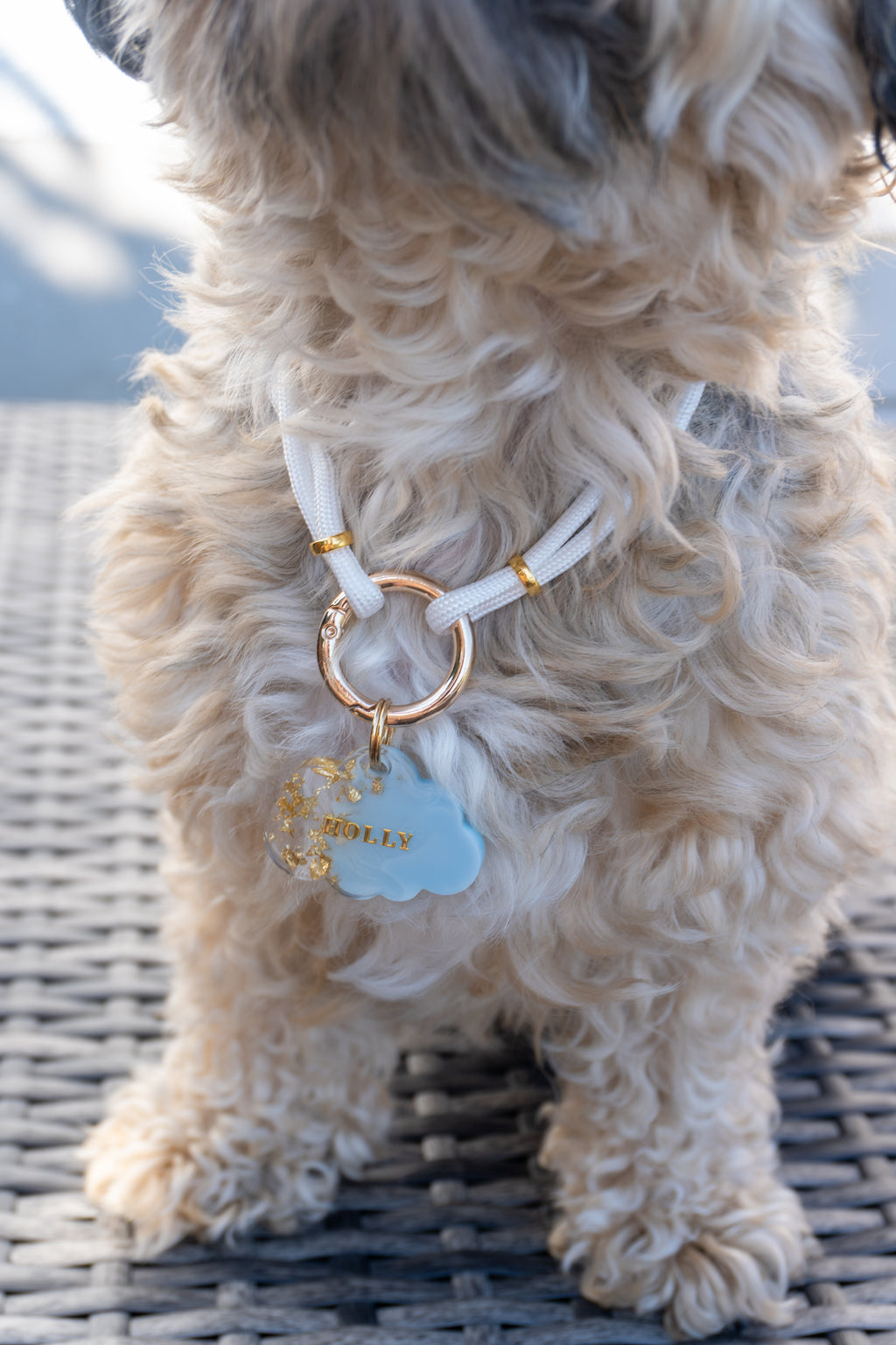 Hundekette „Noble White“ 🤍