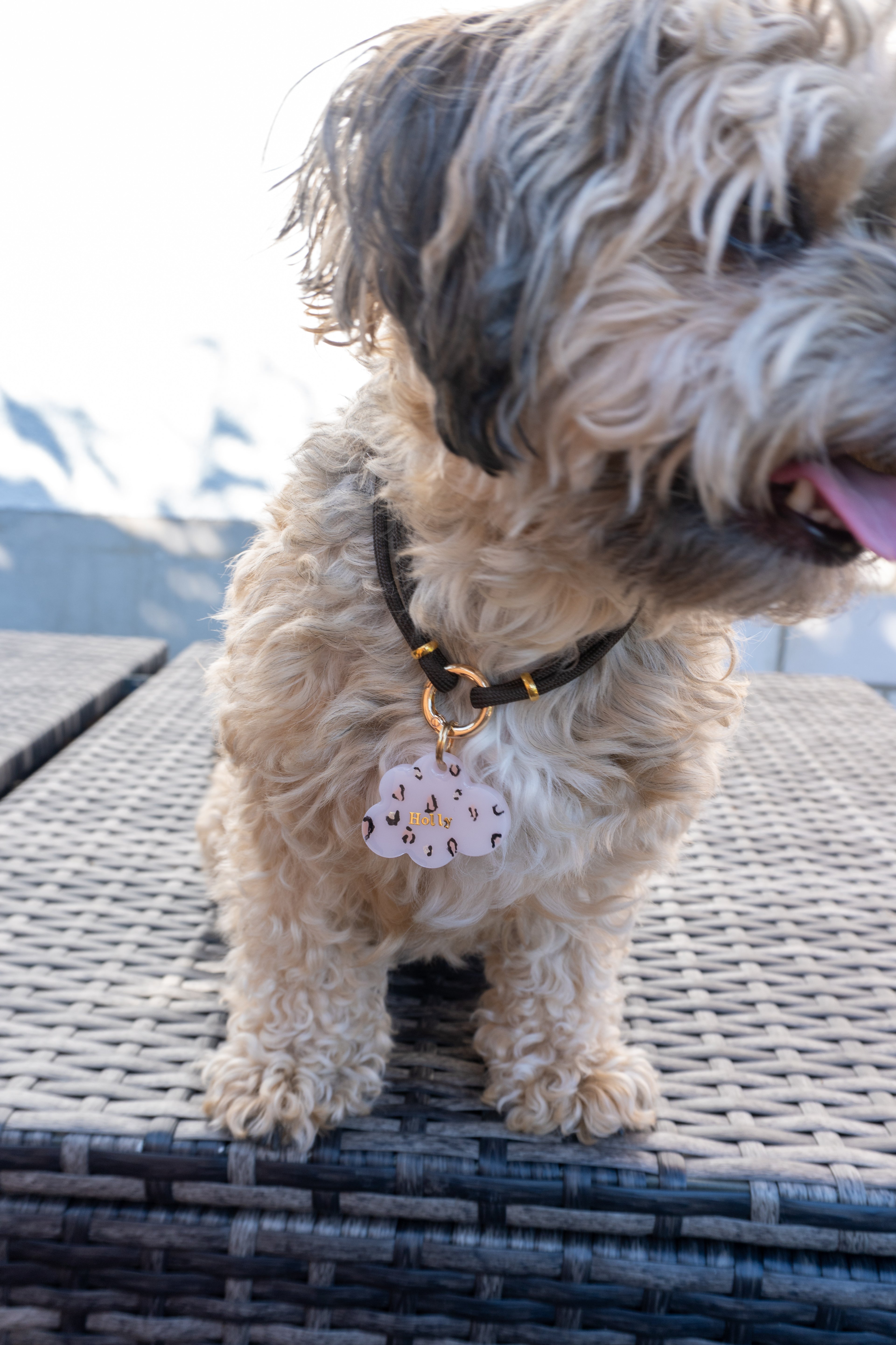 Hundekette „Noble Brown“ 🤎