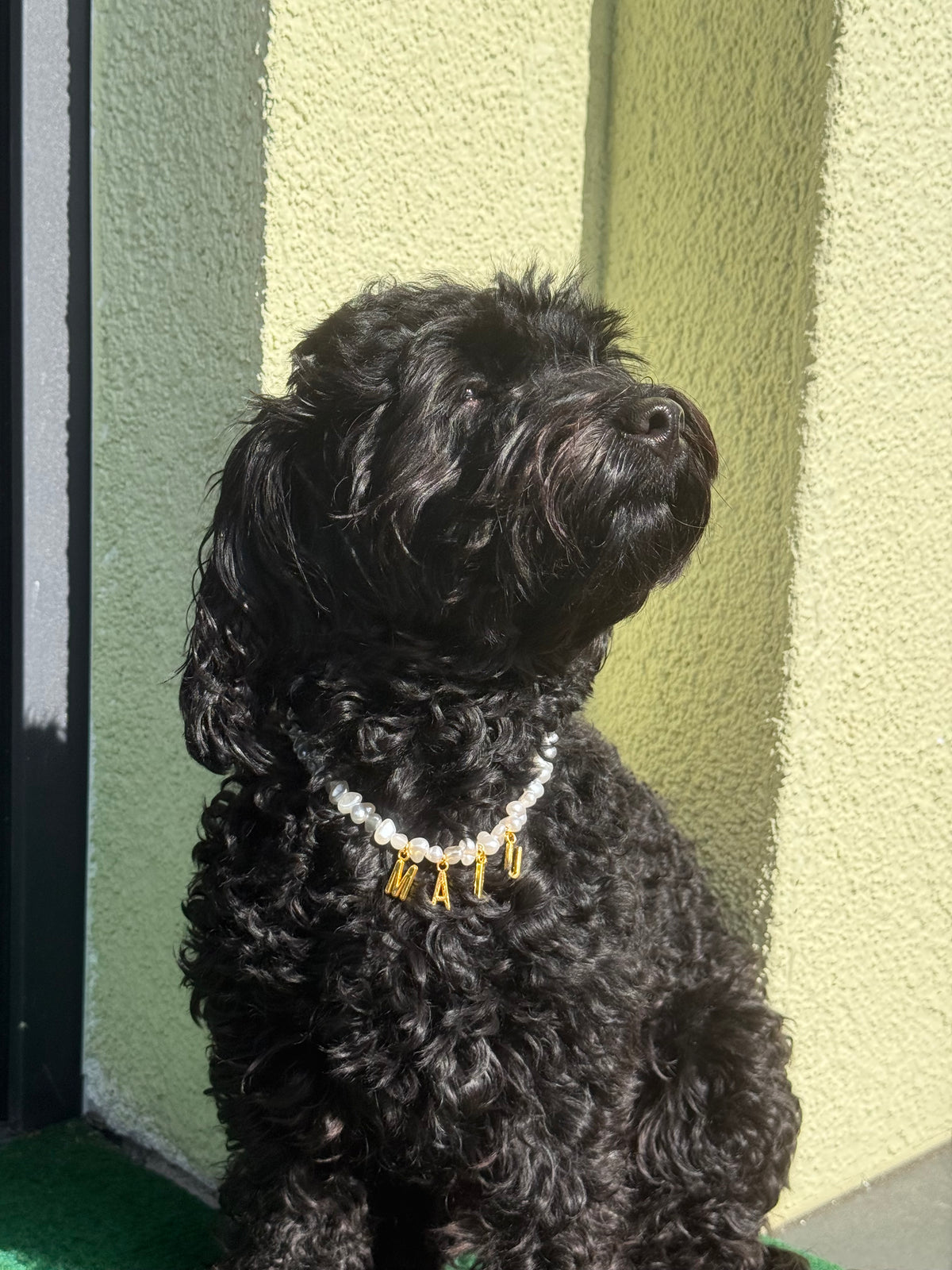 Hundekette Pearl Glow 🤍