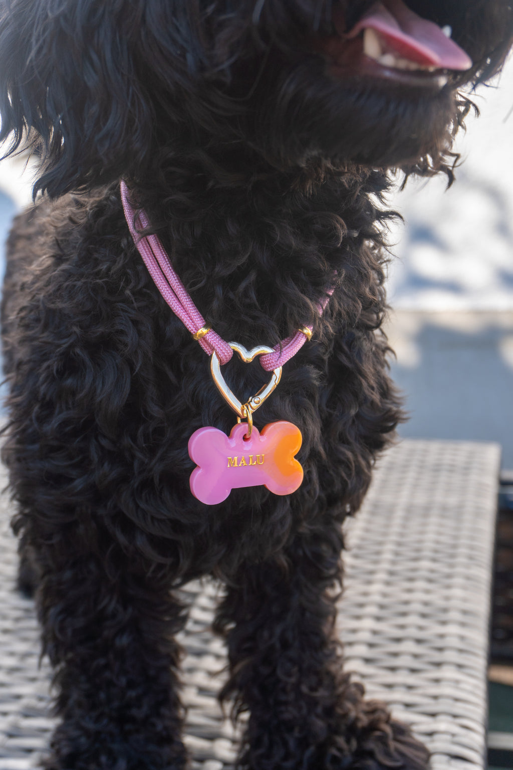 Hundekette „Noble Rose“ 💗