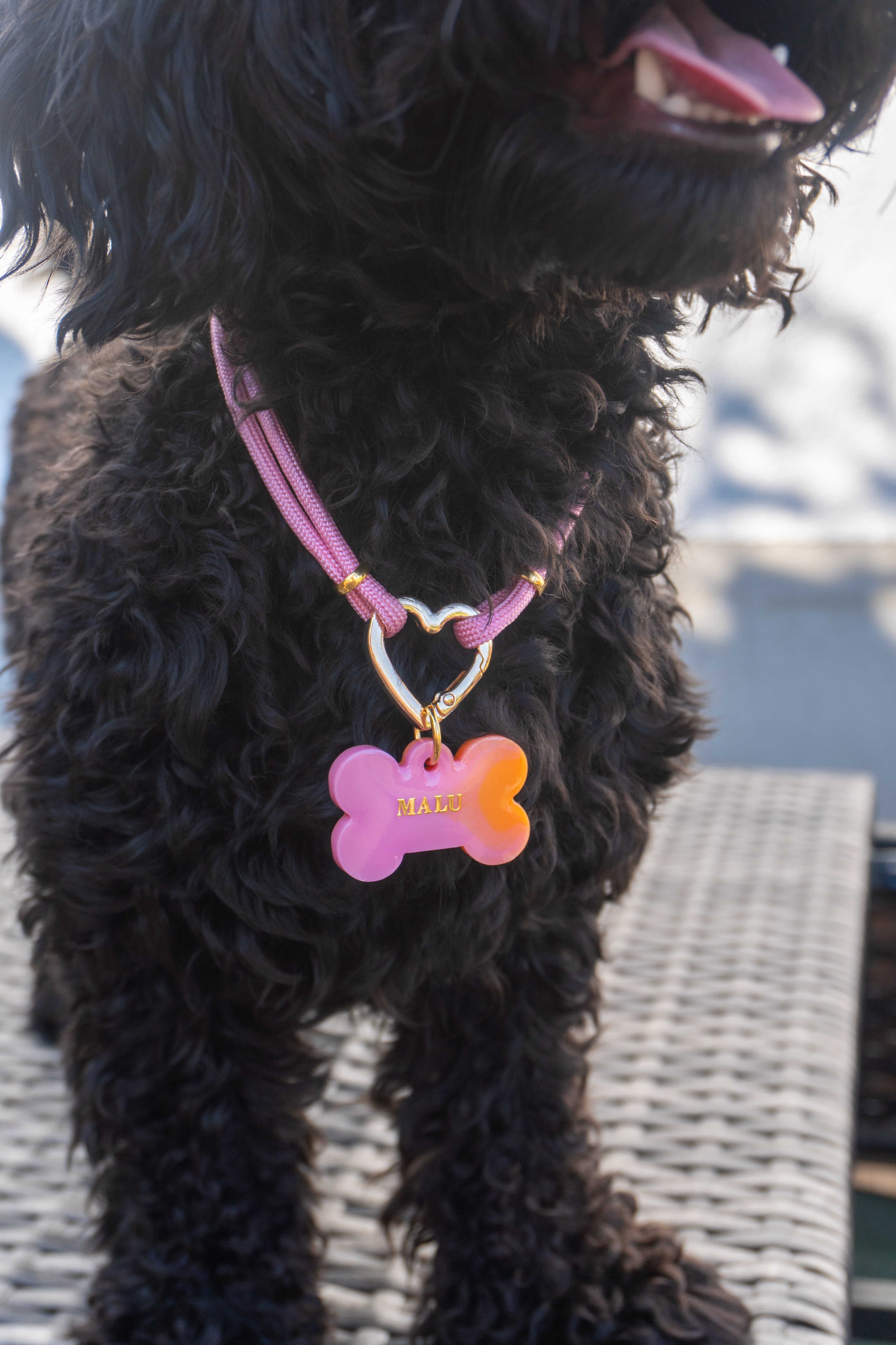 Hundekette „Noble Rose“ 💗