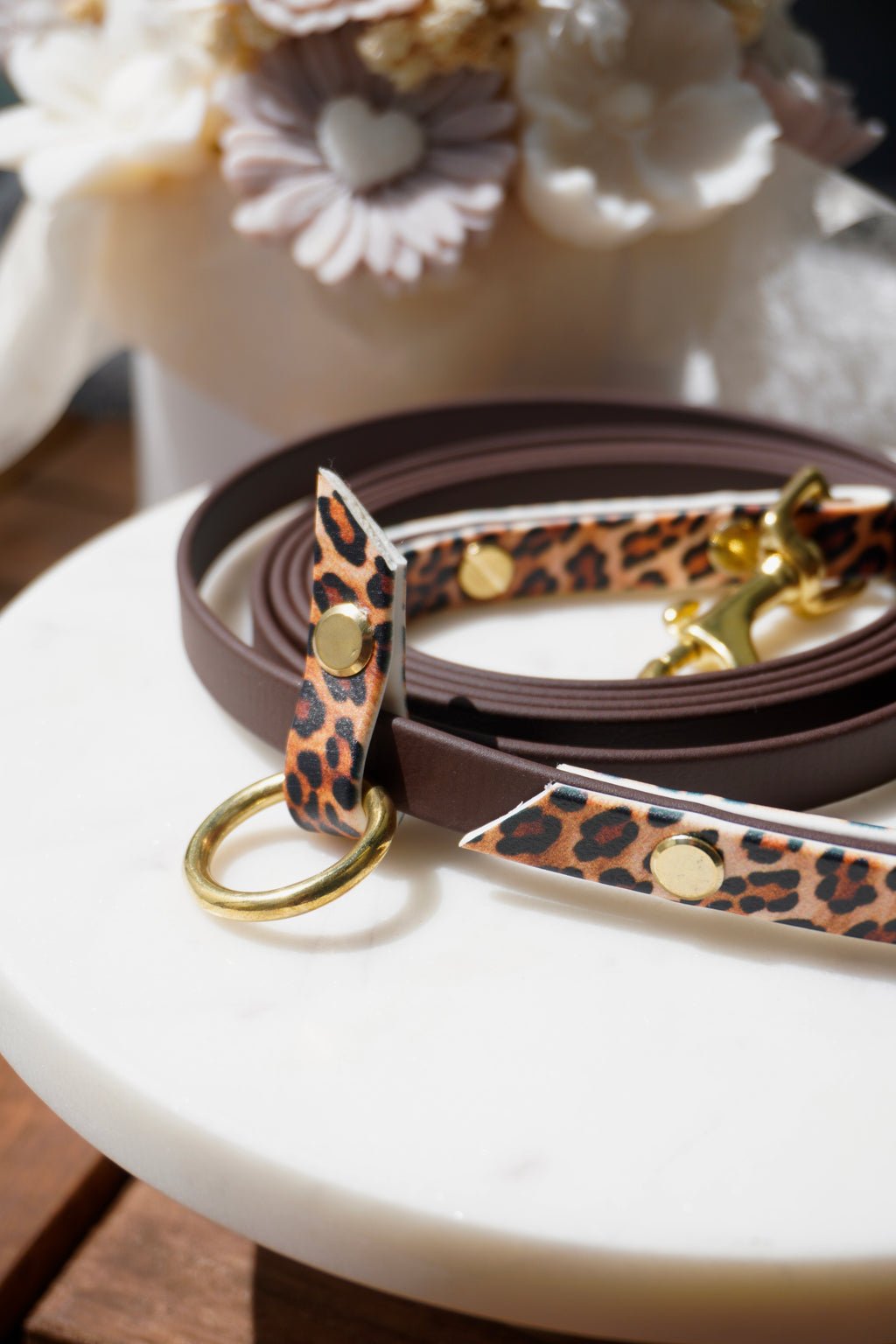 Hundeleine Safari 🤎🐆