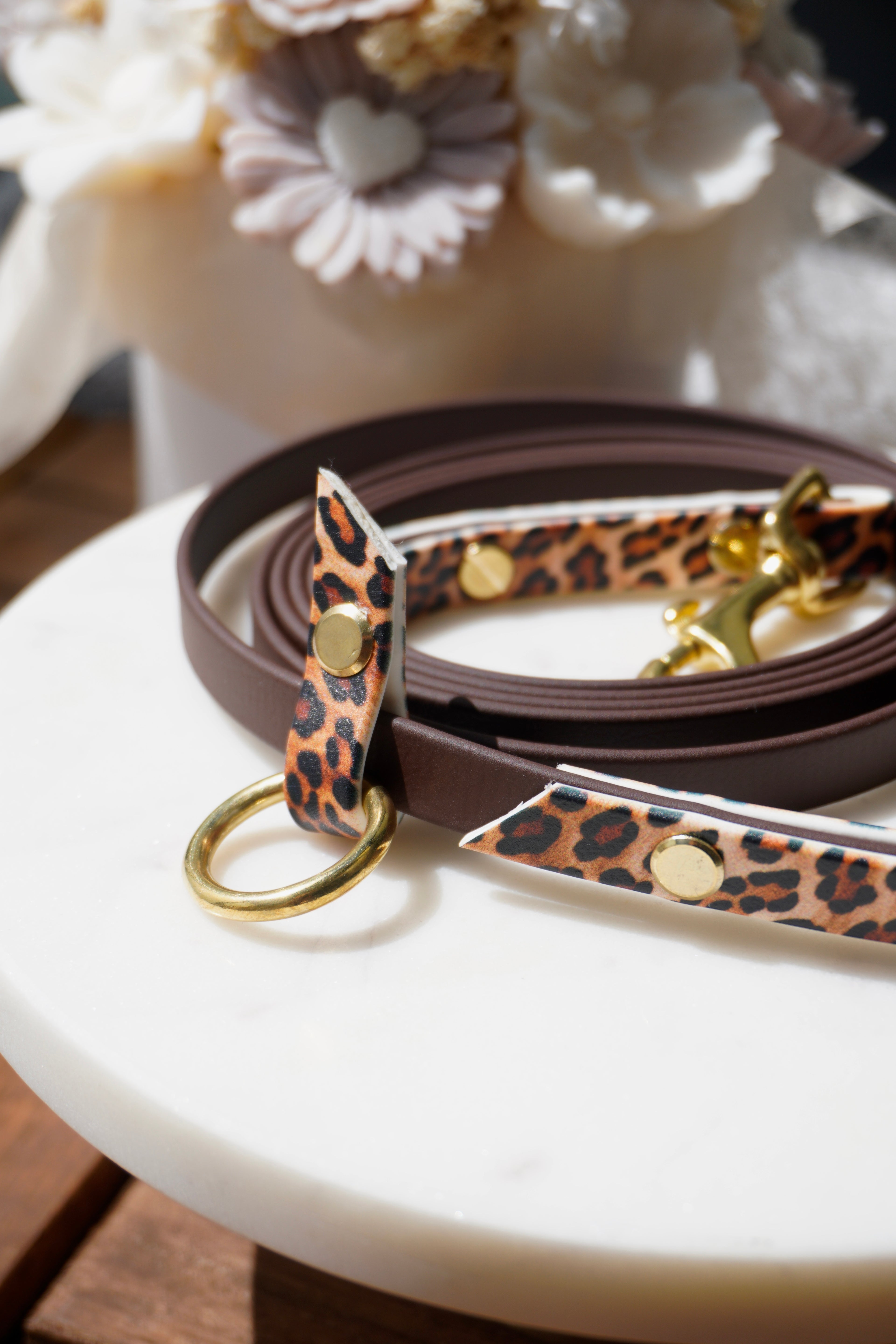 Hundeleine Safari 🤎🐆
